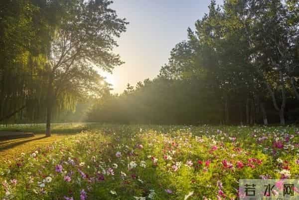 女人是否喜欢你，这三个“不拒绝”就是答案