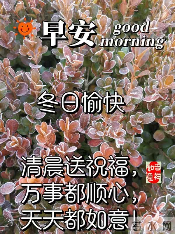 早安朋友！美好的一天，送你一份好心情