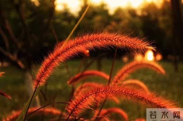 遇见你,三生有幸,想念你,情深一生