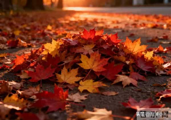 真正厉害的女人,从不问男人这几个问题,这才是真聪明