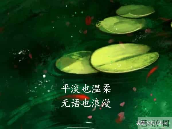 既然无缘，何须誓言。
