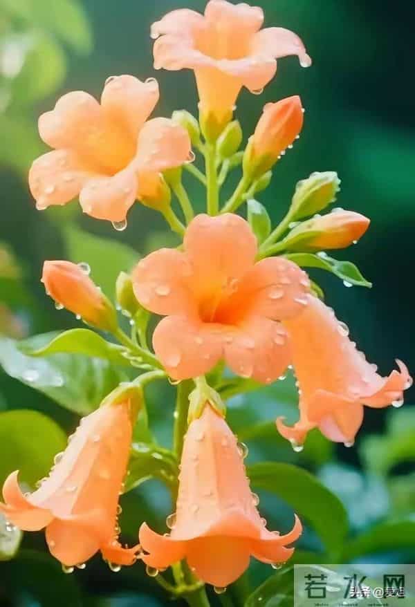 熬过今天,不顺都会彻底清零,好运终于降临