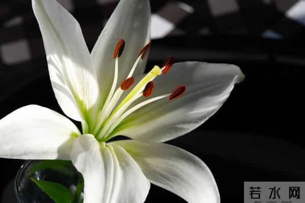 事实上，男人的三个不允许，是离不开你的标志