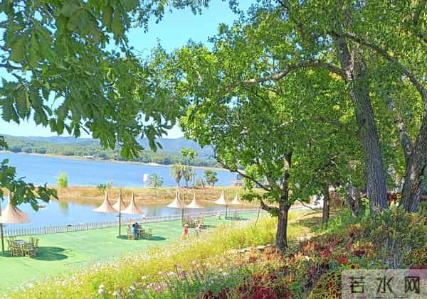 人生黑话二十句，抄下来让你少走蛮路，特别是最后五句