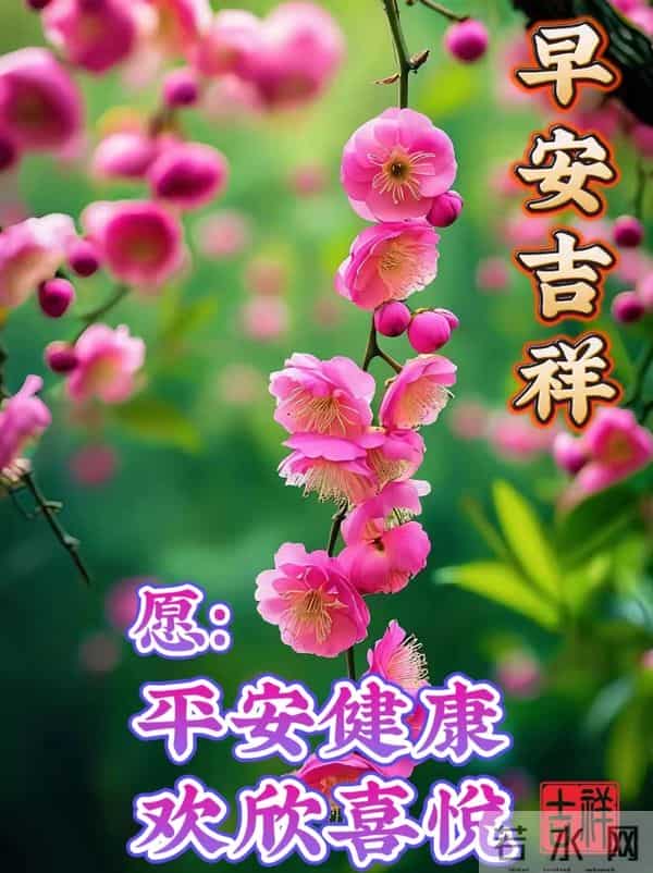 2025年12月5日，星期五，农历十月十六，早安吉祥祝福语！