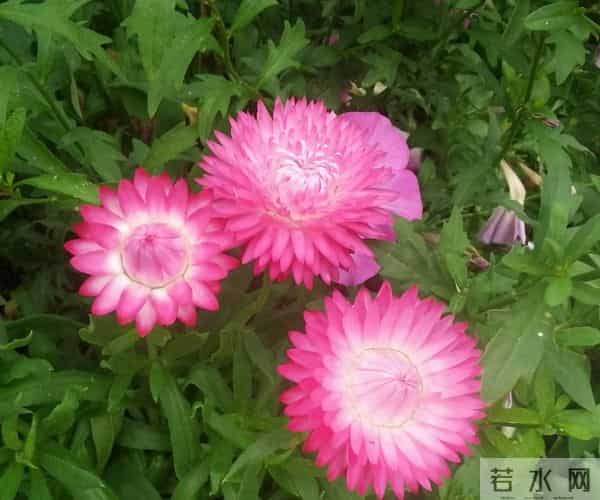 不要辜负我的一片真心