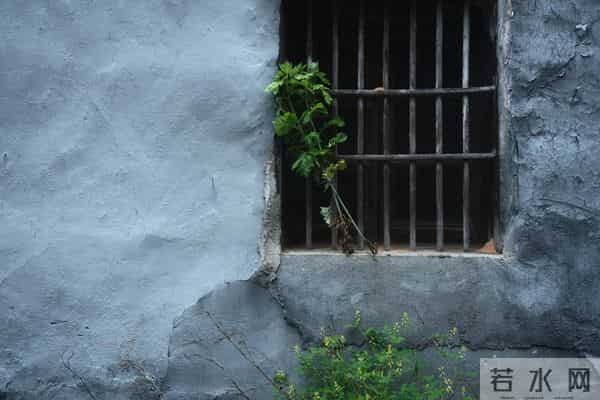 人活到通透的三个觉醒：当下即圆满，孤独即清欢，活着即顶配。