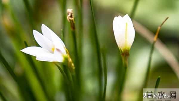 女人被你“搞定”后，藏不住的信号：不是主动，而是“不拒绝”