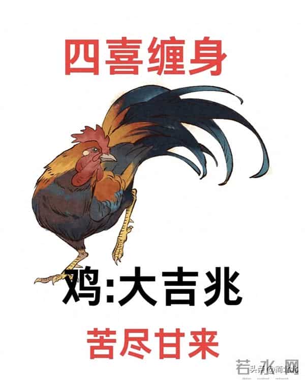 2026年,属鸡的注意了!64岁后别瞎忙!这才是你后半生的活法