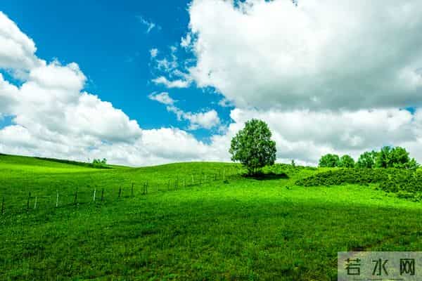 “家有两样，不败也亡”，这2样东西，一定不能要