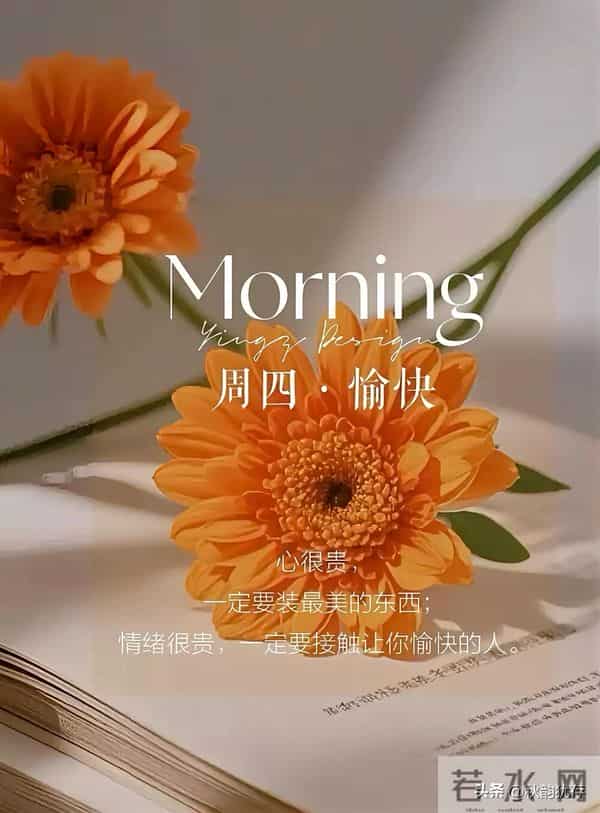 早安，凡是过往皆是序章，所有将来皆为可盼。