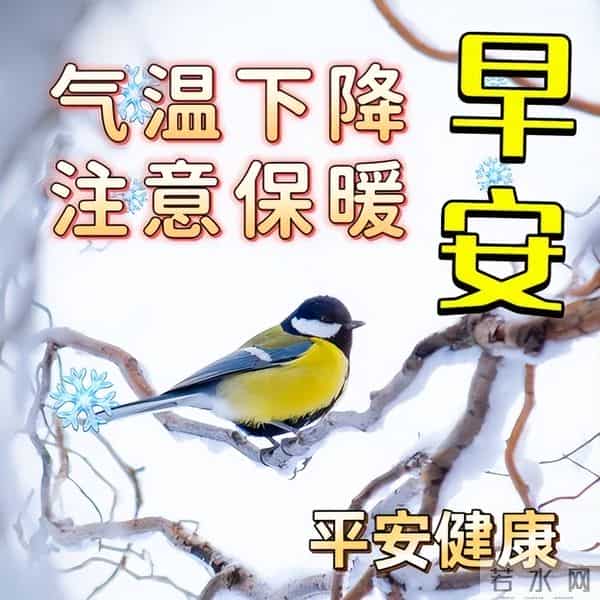 12月5日早安祝福每日更新,早上好问候语冬季,愿你冬日温暖相伴