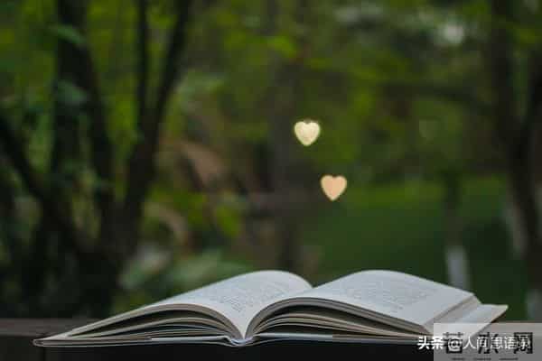 2025年最令人人间清醒的20句话，句句入心，值得反思！