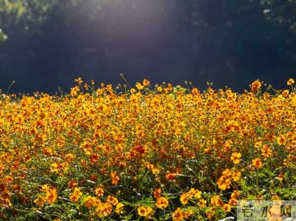 女人是否喜欢你，这三个“不拒绝”就是答案