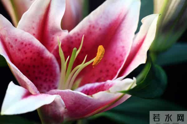 事实上，男人的三个不允许，是离不开你的标志