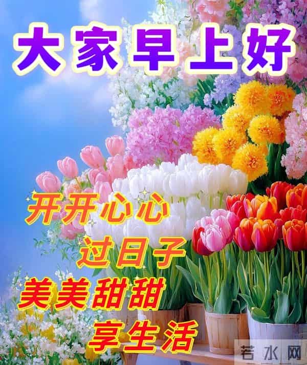 每天的开心,是健康的保证,不为往日忧,只为余生笑。早安!