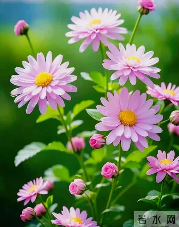 累了歇一歇,烦了静一静,急了缓一缓,把握好生活节奏