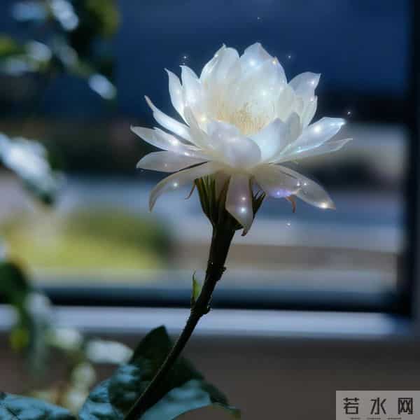 亲家初次见面，带对3样东西，体面又拉满好感（建议收藏）