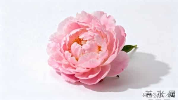 没人告诉你，男人是不会爱的，确切说，是不会像女人需要的那样爱