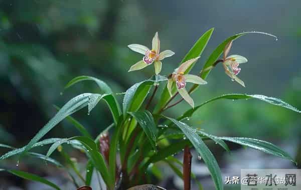 两性关系:80岁女人说的大实话,句句扎心,赶紧看看。