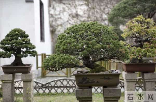 夫妻到了晚年,只要是“分房睡”,大都逃不过3个原因