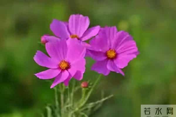 两性关系，50岁后，女人愿意被你抱，说明这几个心理防线已崩溃