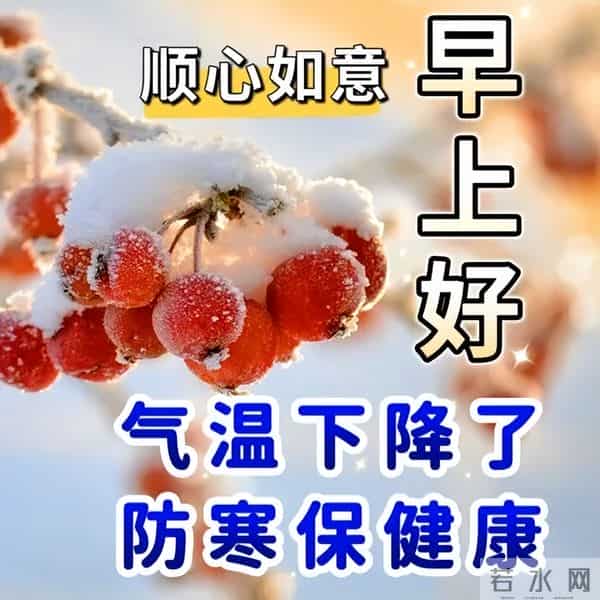 12月5日早安祝福每日更新,早上好问候语冬季,愿你冬日温暖相伴