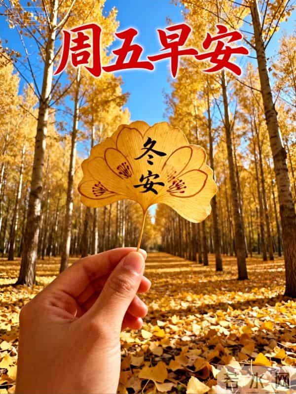 2025年12月5日周五早上好祝福语图片,最新温馨淡雅早安精美图片