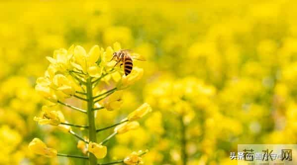 父母不在后，你会发现：真正惦记你的人，其实只剩下这三类