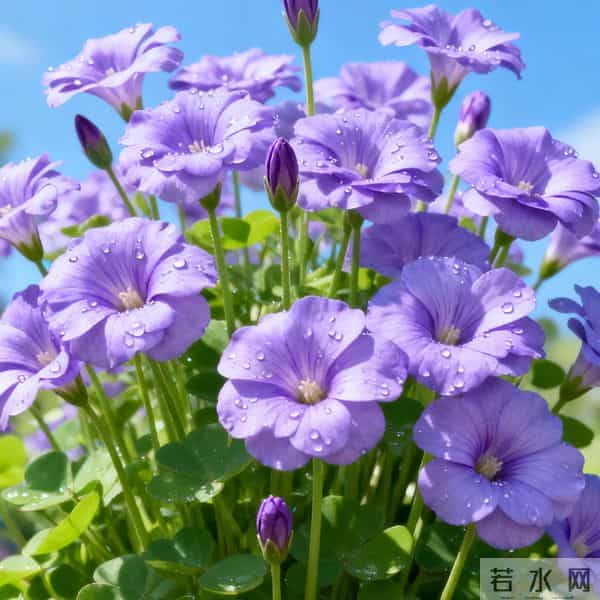 亲家初次见面，带对3样东西，体面又拉满好感（建议收藏）