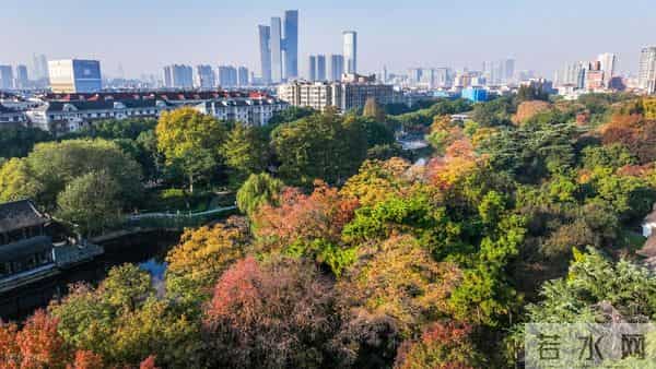 段永平语录集:如果一个有钱人因为钱而不快乐是很愚蠢的