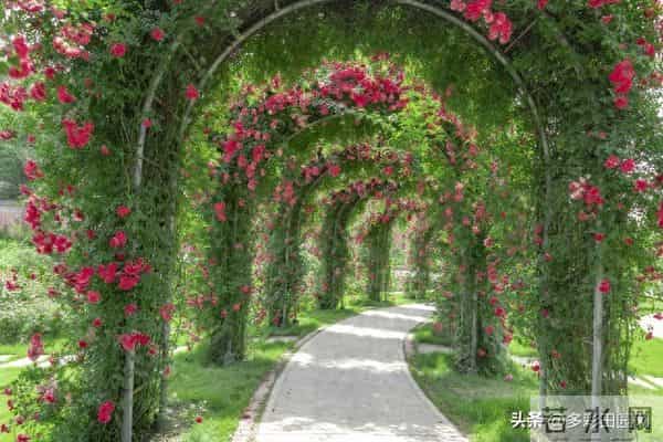 当一个女人对你“不主动,不拒绝”,其实是在请你离开