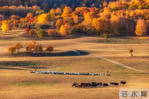 既然是生活就免不了酸甜苦辣,既然是人生就免不了人情冷暖。