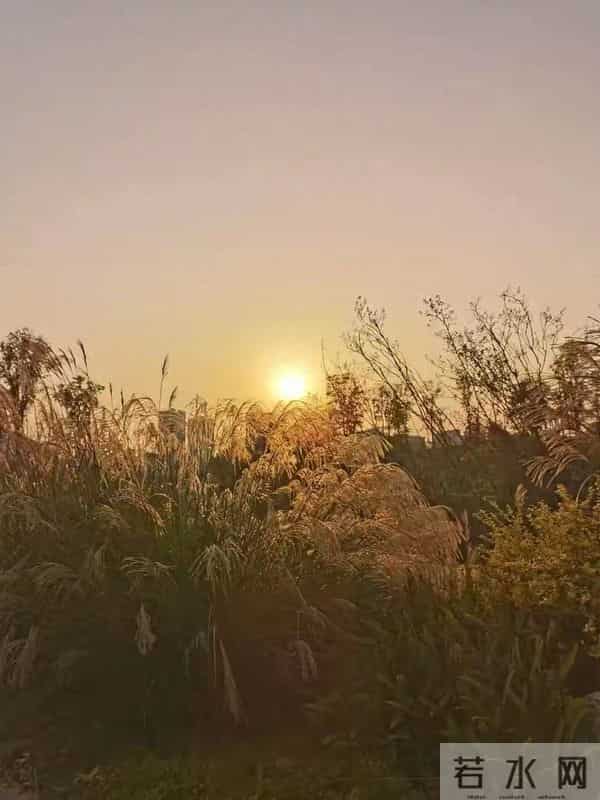 女人老牛吃嫩草是什么感觉？几位女人说了心里话，男人得听听！