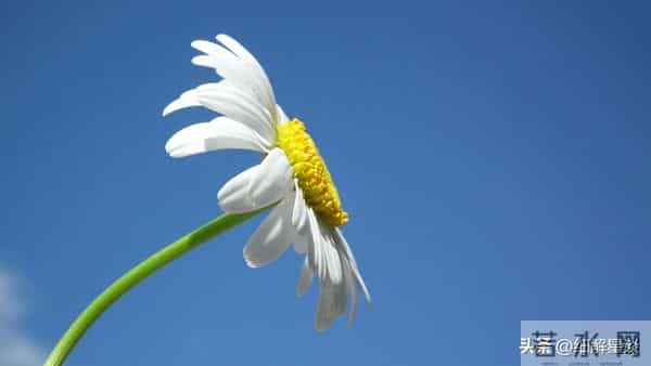 12月5日星期一，午马，可能会有事发生