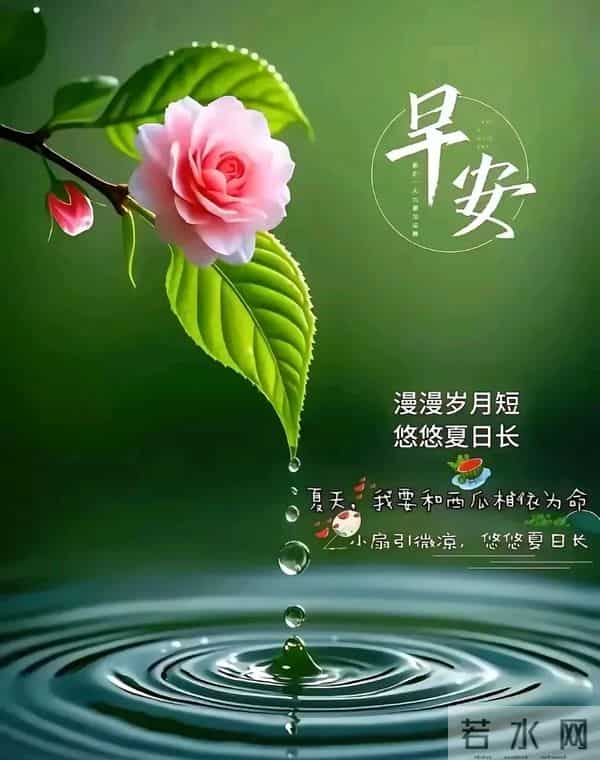 早上好问候祝福图片分享｜阳光暖暖，祝福甜甜！早安快乐！