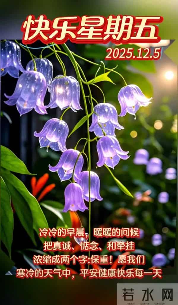 2025年12月5日周五早安 早上好温馨问候语 早安祝福精美图片