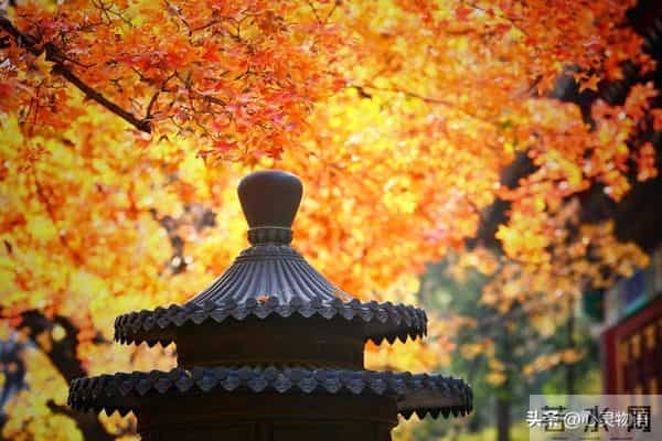 异性之间，偷偷做过这些事，就是彼此动了情