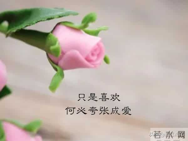 既然无缘，何须誓言。