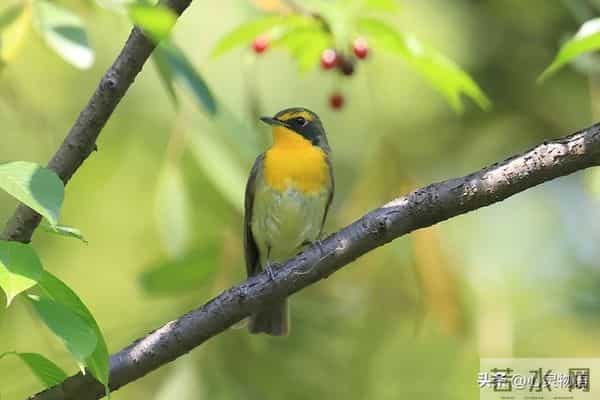 经历两次离婚,我明白了-所有夫妻关系的破裂,都始于同一个错误