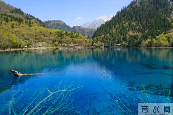 那一晚,洗完澡,我掀开了70岁老伴的被子,她说“我们分居吧”