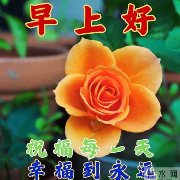 早安问候漂亮图片祝福美图
