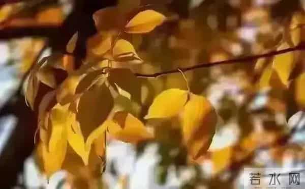 发现怪现象：越是独来独往没有朋友不合群的人，