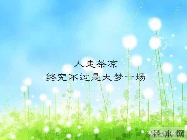 既然无缘，何须誓言。