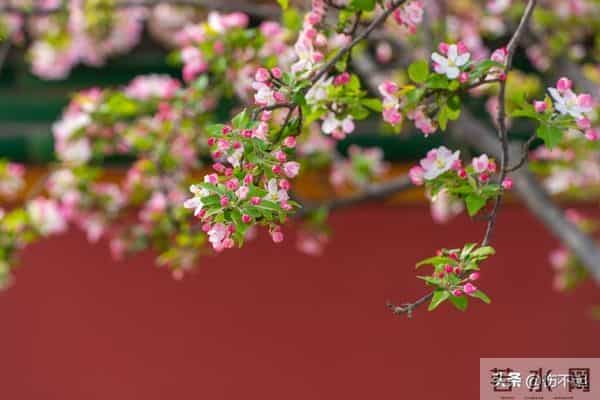 女人主动“勾”你时，不会说“我喜欢你”，却常说这5句话