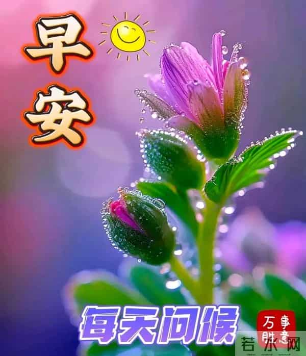 早上好问候祝福图片分享｜阳光暖暖，祝福甜甜！早安快乐！