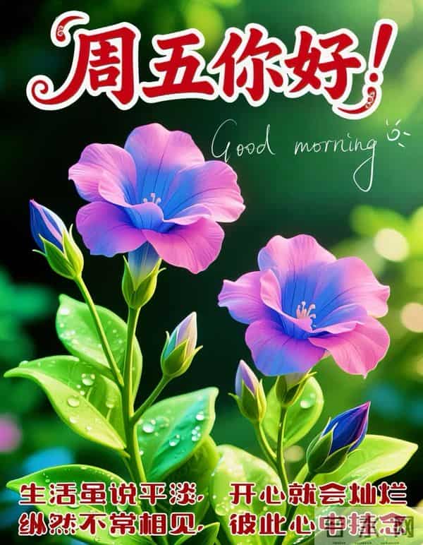 2025年12月5日早上好 早安周五愉快 早安精美美图温馨祝福语 早上好