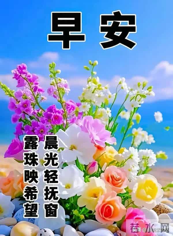 早安，凡是过往皆是序章，所有将来皆为可盼。