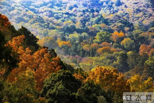 异性之间，偷偷做过这些事，就是彼此动了情