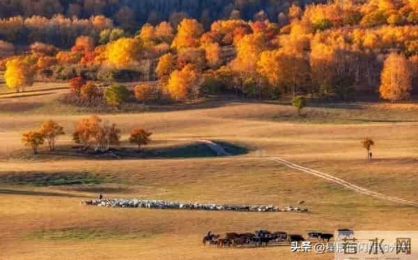 守住人生底线，别让善良被透支，被别人标准左右，你真活得自由吗